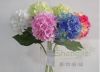 Hydrangea  from 5 floo...