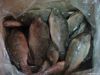 Tilapia fillet  Gutted...
