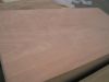 Plywood Supplier