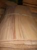 Beech for furniture gr...
