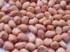 The best peanut kernel...