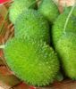 Fresh vegetable