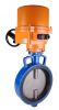 Motorized Butterfly Valve