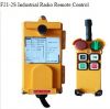 F21-2S Industrial Radi...