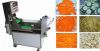 Dicing machine