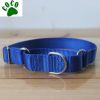 Martingale Collar Classic Green