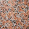 china granite maple re...