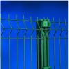 Galvanized and PVC Coated Welded Wire Mesh Fence