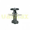 Gate Valve, 900 LB, 1/...