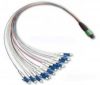 MPO - LC Fiber Optic P...