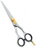 Hair Cutting Scissor