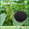 Bamboo biochar organic...
