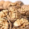 Walnut in Shell, Grade a