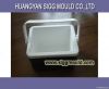 2014 China injection plastic mirror nitriding mould company