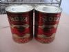 210g Canned Tomato pas...