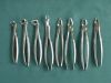 Dental Instruments