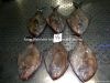 Frozen Black Pomfret