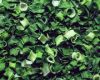 Dehydrated Green Onion