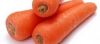 CARROT