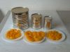 Canned Apricot