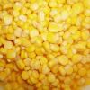 sweet corn kernel