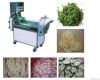 Multifunction Inverter...