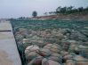 Link Gabion Boxes & Mattresses, Standard 2x1x1M Gabion mesh,  Galvanized gabion boxes,galfan gabion baskets,PVC coated gabion cage