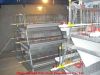 cheap layer cage for p...