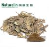 Ivy Leaf Extract