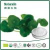 Centella Asiatica Extract
