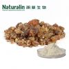 Frankincense Extract /...