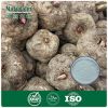 Konjac Extract