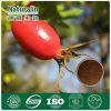 Rosehip Extract