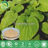 Kava Extract