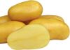 Fresh Potatoes (High Q...