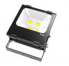 LED Flood Light