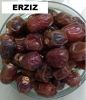 Dates