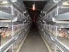 Chicken batterry cage