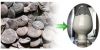 Griffonia Seed Extract