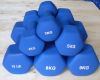 Fixed Weight Hex Neopr...