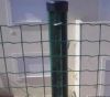 Euro Welded Fence