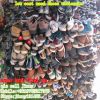 cheapest price for the sorted used shoes wholesale in sacks  China