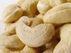 cashew nut ww320, Viet...