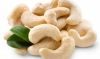 Vietnam cashew nut ww320, ww240