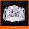 Hot sell ceiling light...