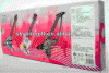 2014 Electric Guitar For kids