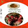 Rhodiola Rosea extract