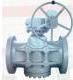 Plug Valve