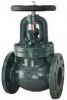 Globe Valve