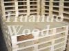 Poplar LVL for packing material